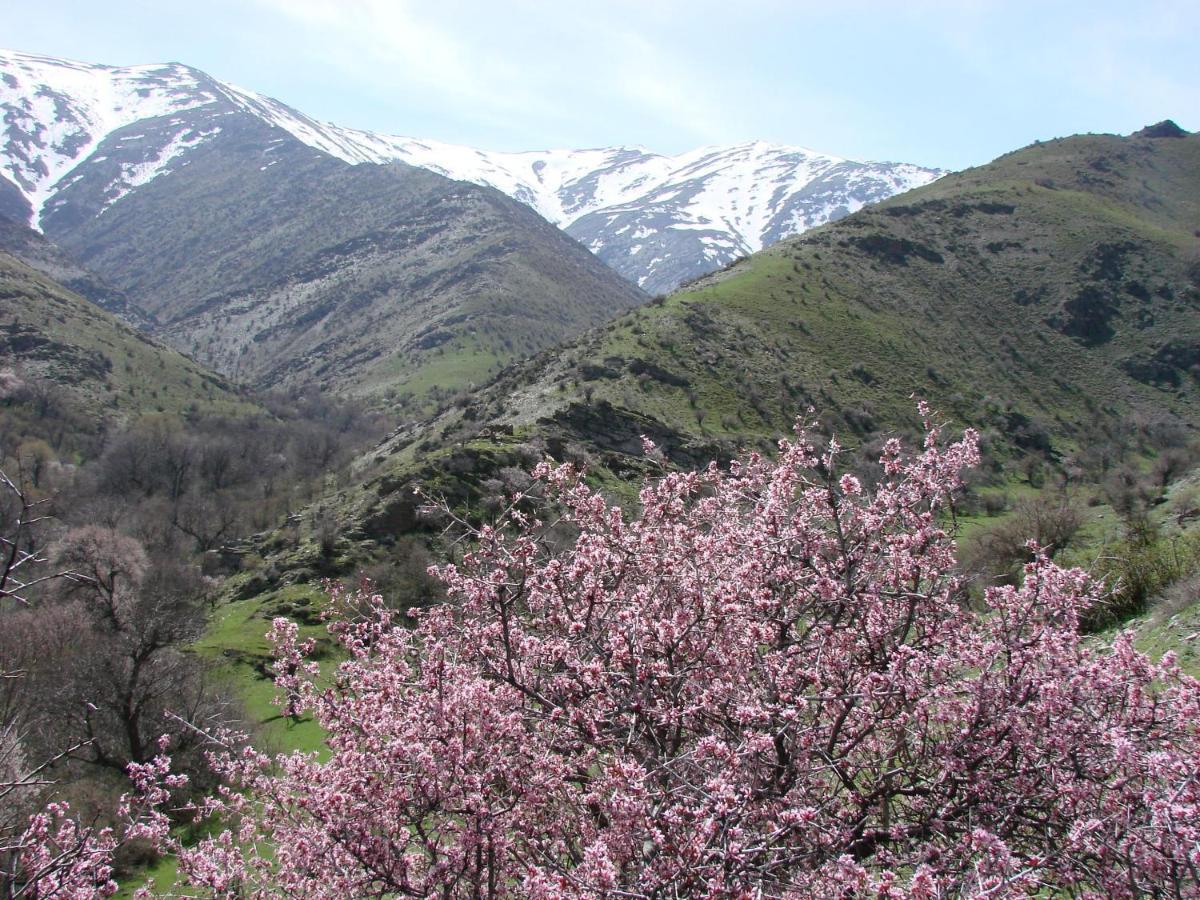 Hayat Guesthouse Nuratau Mountains Yukary-Ukhum Eksteriør billede
